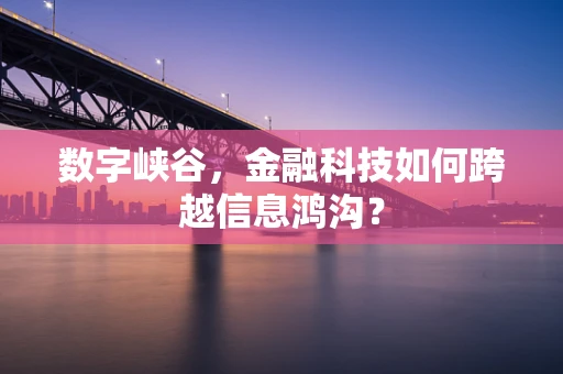 数字峡谷，金融科技如何跨越信息鸿沟？