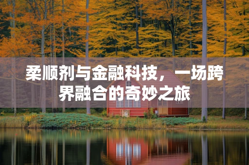 柔顺剂与金融科技，一场跨界融合的奇妙之旅