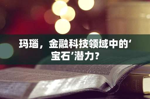 玛瑙，金融科技领域中的‘宝石’潜力？