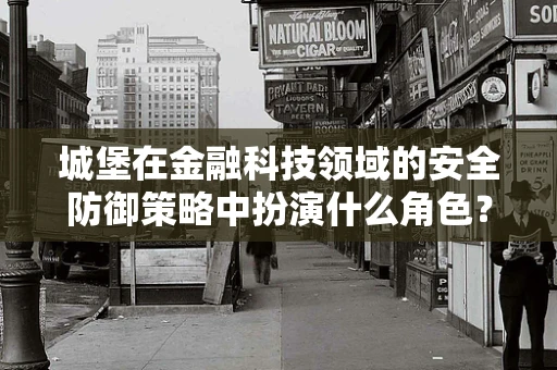 城堡在金融科技领域的安全防御策略中扮演什么角色？