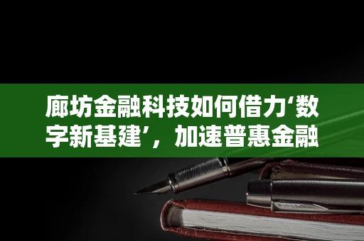 廊坊金融科技如何借力‘数字新基建’，加速普惠金融落地？