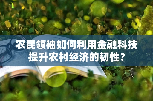 农民领袖如何利用金融科技提升农村经济的韧性？