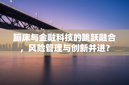 蹦床与金融科技的跳跃融合，风险管理与创新并进？
