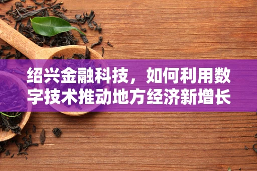 绍兴金融科技，如何利用数字技术推动地方经济新增长？