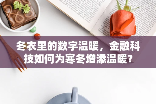 冬衣里的数字温暖，金融科技如何为寒冬增添温暖？
