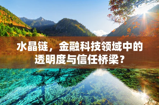 水晶链，金融科技领域中的透明度与信任桥梁？