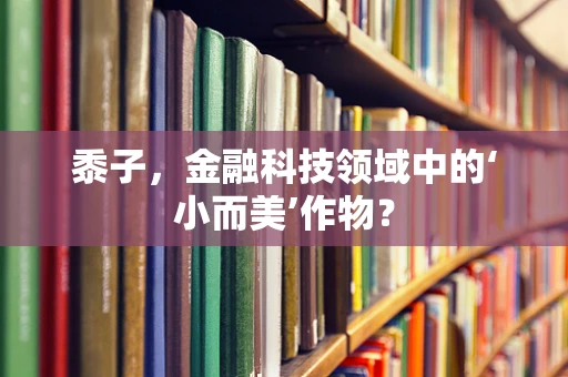 黍子，金融科技领域中的‘小而美’作物？