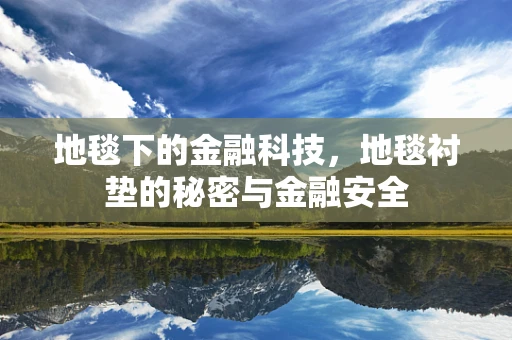 地毯下的金融科技，地毯衬垫的秘密与金融安全