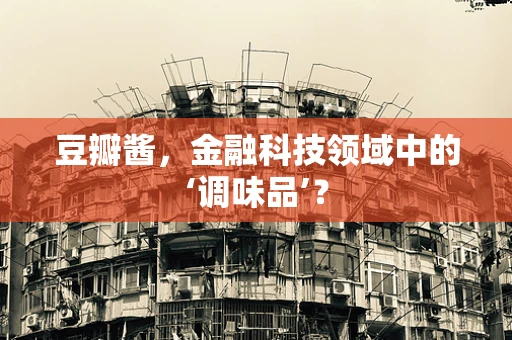 豆瓣酱，金融科技领域中的‘调味品’？