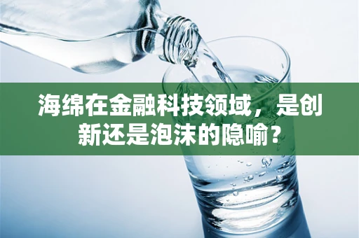 海绵在金融科技领域，是创新还是泡沫的隐喻？
