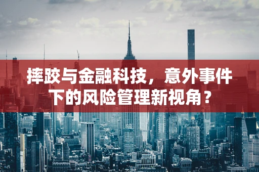 摔跤与金融科技，意外事件下的风险管理新视角？