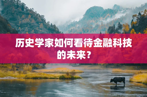 历史学家如何看待金融科技的未来？