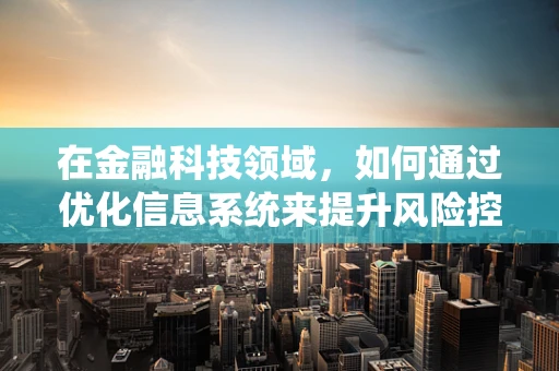 在金融科技领域，如何通过优化信息系统来提升风险控制能力？