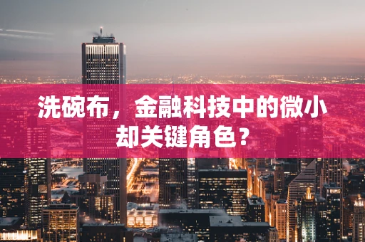 洗碗布，金融科技中的微小却关键角色？