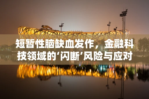短暂性脑缺血发作，金融科技领域的‘闪断’风险与应对策略