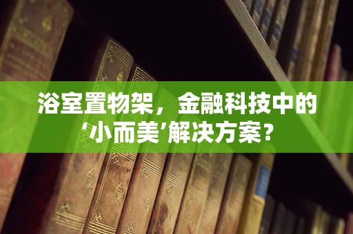 浴室置物架，金融科技中的‘小而美’解决方案？
