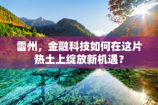 雷州，金融科技如何在这片热土上绽放新机遇？