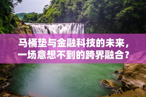 马桶垫与金融科技的未来，一场意想不到的跨界融合？