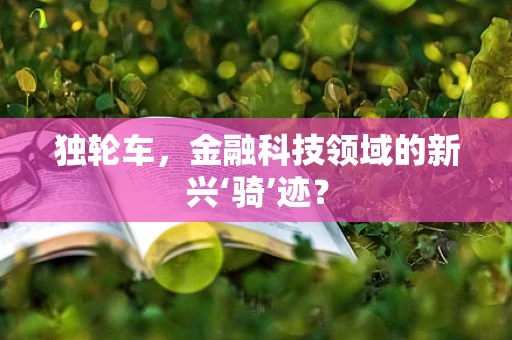 独轮车，金融科技领域的新兴‘骑’迹？