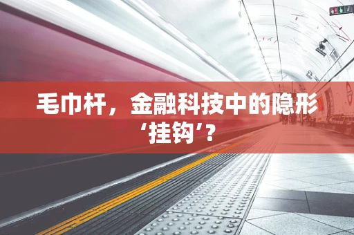 毛巾杆，金融科技中的隐形‘挂钩’？