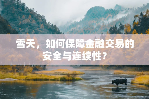 雪天，如何保障金融交易的安全与连续性？