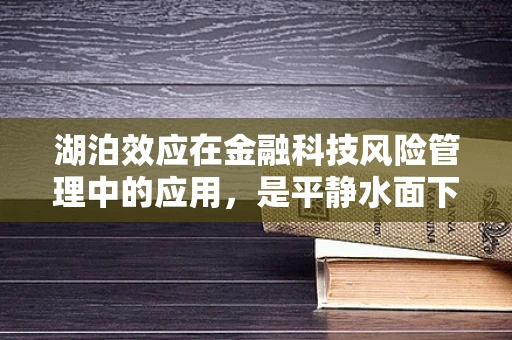 湖泊效应在金融科技风险管理中的应用，是平静水面下的暗流，还是创新机遇的源泉？