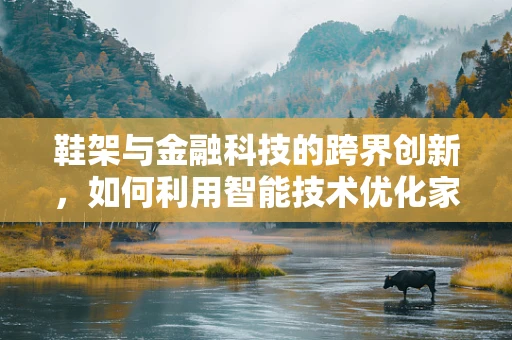 鞋架与金融科技的跨界创新，如何利用智能技术优化家庭财务管理？