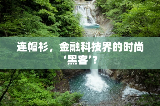 连帽衫，金融科技界的时尚‘黑客’？