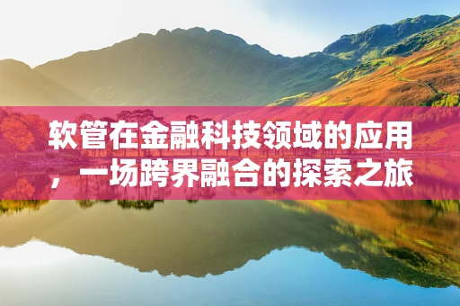 软管在金融科技领域的应用，一场跨界融合的探索之旅？