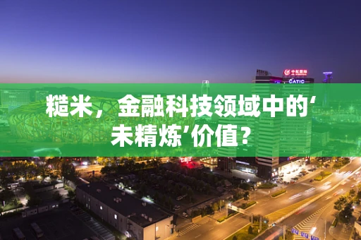 糙米，金融科技领域中的‘未精炼’价值？