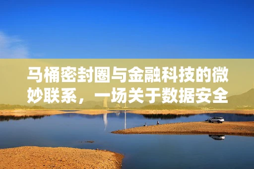 马桶密封圈与金融科技的微妙联系，一场关于数据安全与隐私保护的隐喻