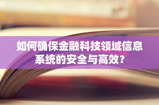 如何确保金融科技领域信息系统的安全与高效？