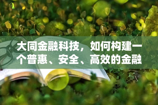 大同金融科技，如何构建一个普惠、安全、高效的金融生态系统？