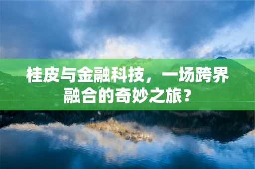 桂皮与金融科技，一场跨界融合的奇妙之旅？