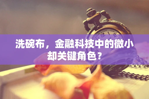 洗碗布，金融科技中的微小却关键角色？