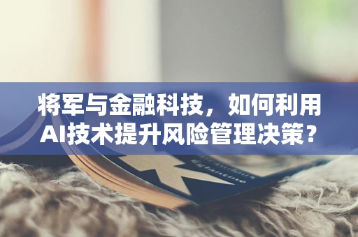 将军与金融科技，如何利用AI技术提升风险管理决策？