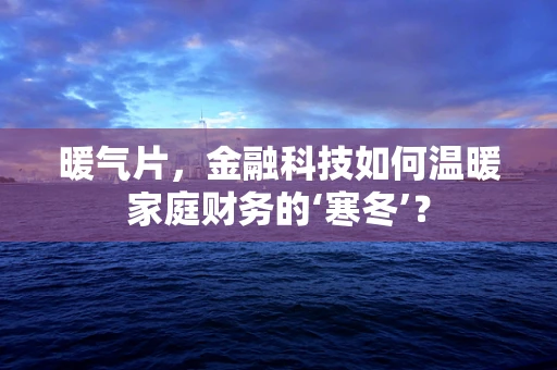 暖气片，金融科技如何温暖家庭财务的‘寒冬’？