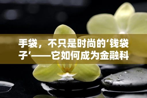 手袋，不只是时尚的‘钱袋子’——它如何成为金融科技的新战场？