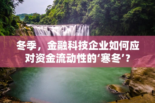 冬季，金融科技企业如何应对资金流动性的‘寒冬’？