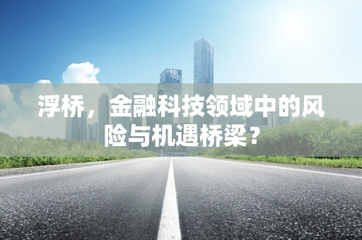 浮桥，金融科技领域中的风险与机遇桥梁？