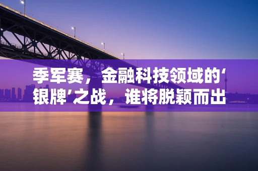 季军赛，金融科技领域的‘银牌’之战，谁将脱颖而出？