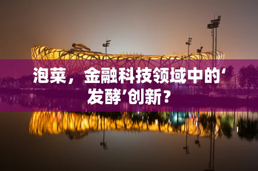 泡菜，金融科技领域中的‘发酵’创新？