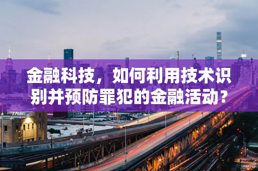 金融科技，如何利用技术识别并预防罪犯的金融活动？