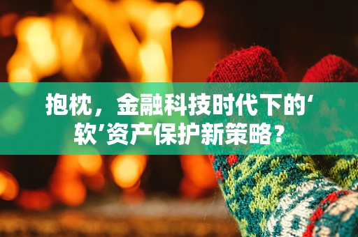 抱枕，金融科技时代下的‘软’资产保护新策略？