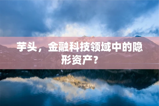 芋头，金融科技领域中的隐形资产？