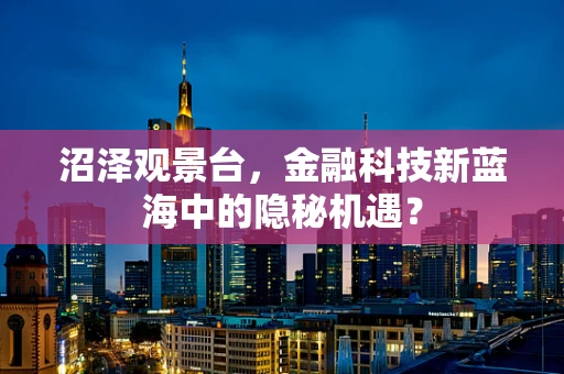 沼泽观景台，金融科技新蓝海中的隐秘机遇？