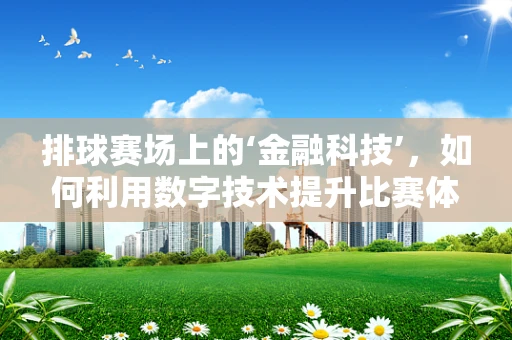 排球赛场上的‘金融科技’，如何利用数字技术提升比赛体验？