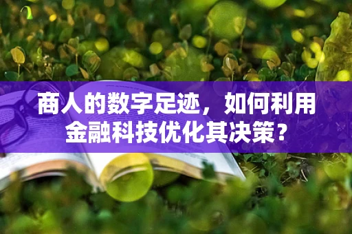 商人的数字足迹，如何利用金融科技优化其决策？