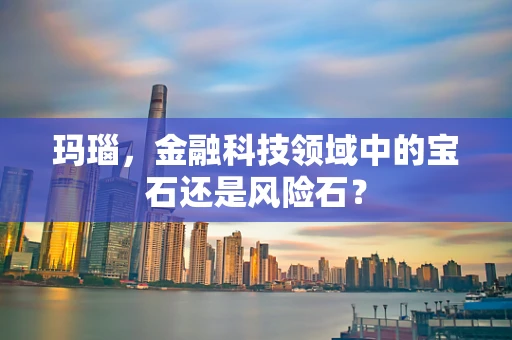 玛瑙，金融科技领域中的宝石还是风险石？
