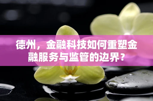 德州，金融科技如何重塑金融服务与监管的边界？